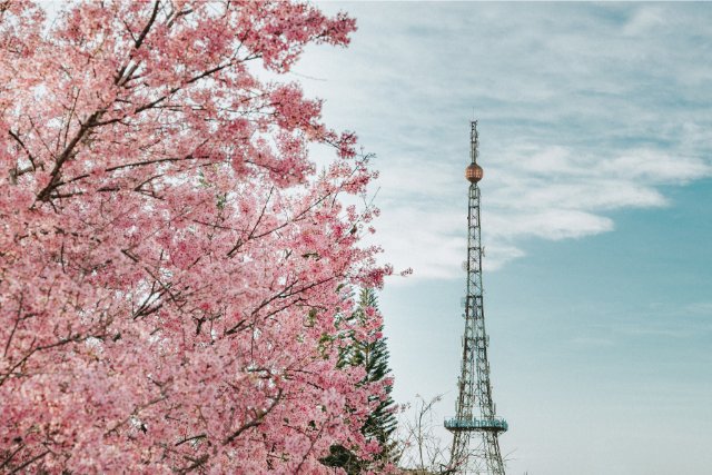 Ảnh thiên nhiên Đà Lạt đẹp nhất