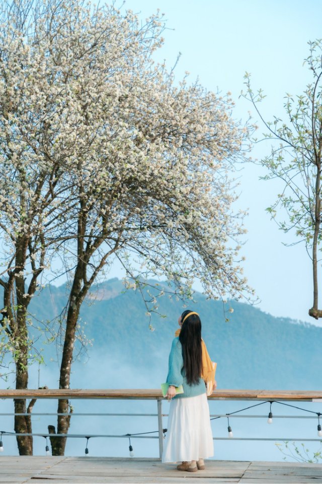 Ảnh thiên nhiên Tà Xùa đẹp nhất