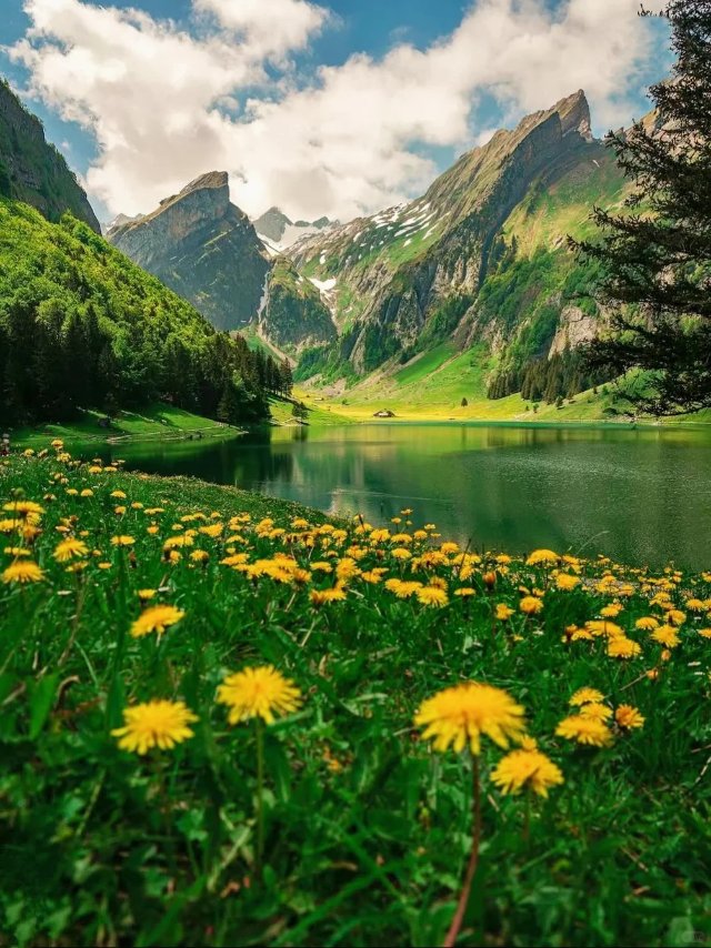 Ảnh thiên nhiên Thụy Sĩ hùng vĩ cực đẹp