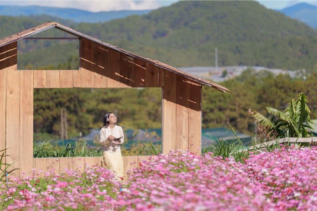 Ảnh thiên nhiên Việt Nam đẹp nhất 2026