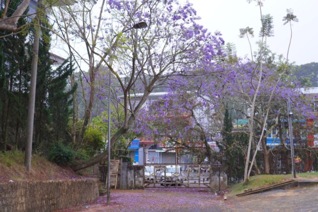 Ảnh thiên nhiên Việt Nam đẹp nhất