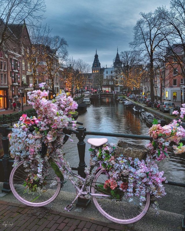 Ảnh thiên nhiên đẹp nhất tại Hà Lan 2026