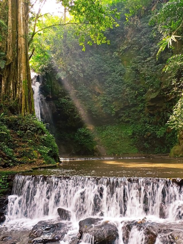 Ảnh thiên nhiên hoang dã