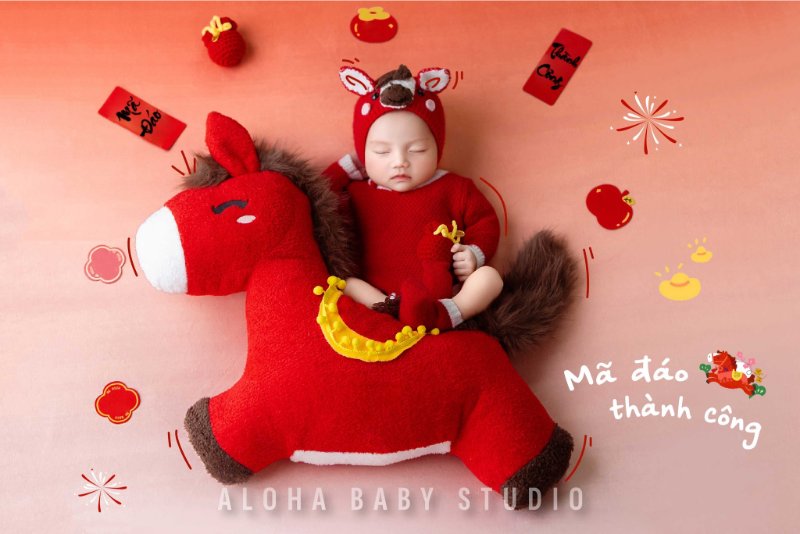 Concept chụp ảnh sơ sinh năm 2026 Bính Ngọ