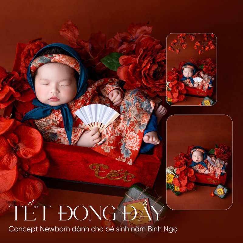 Concept chụp newborn mùa lễ, Tết