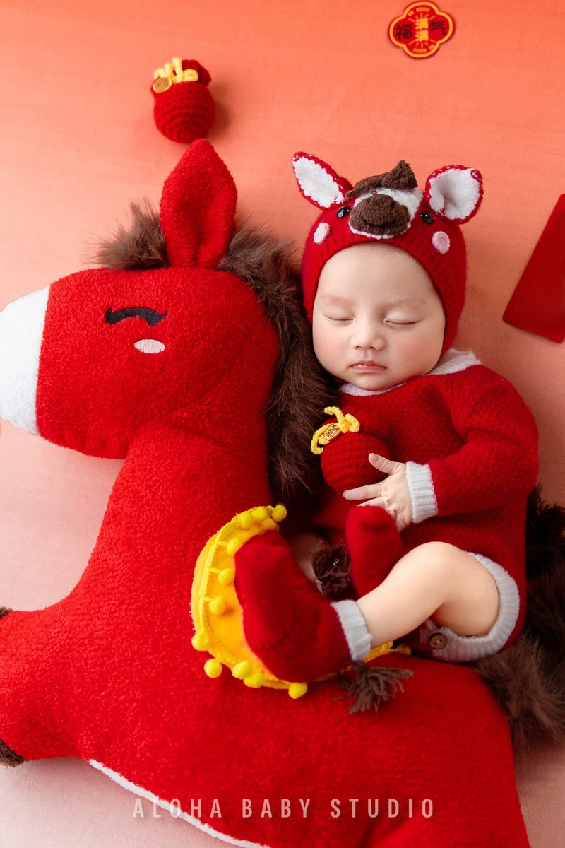 Concept newborn Bính Ngọ 2026