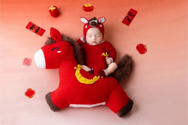 Concept newborn Bính Ngọ cho bé trai