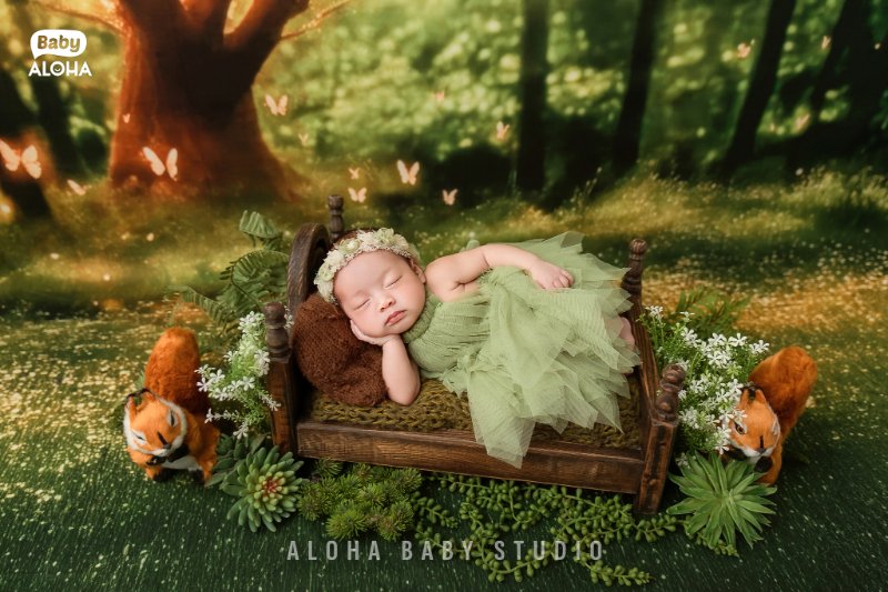 Concept thiên thần, cổ tích nhẹ nhàng