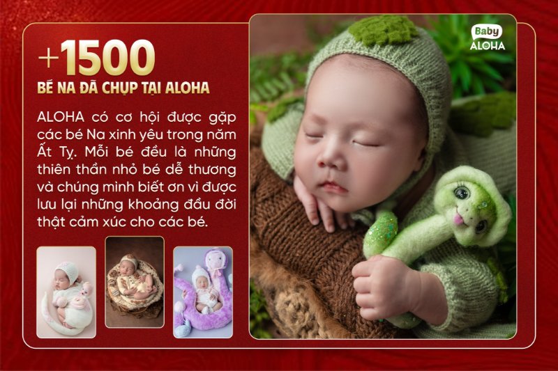 Gợi ý các concept chụp ảnh sơ sinh tại phường Hồng Hà hot nhất 2026