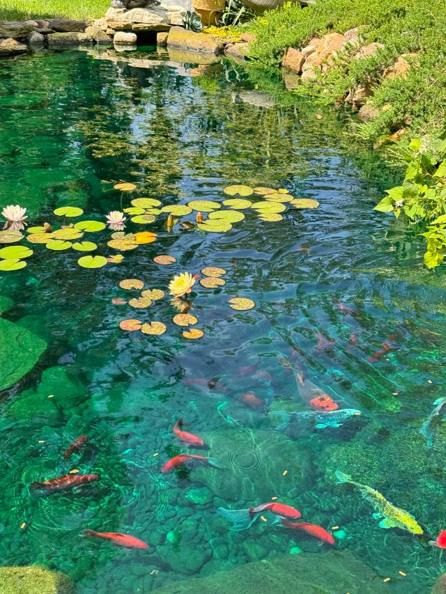 Hình ảnh hồ nước đẹp mĩ mãn