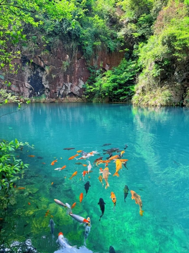 Hình ảnh hồ nước thiên nhiên đẹp mĩ mãn