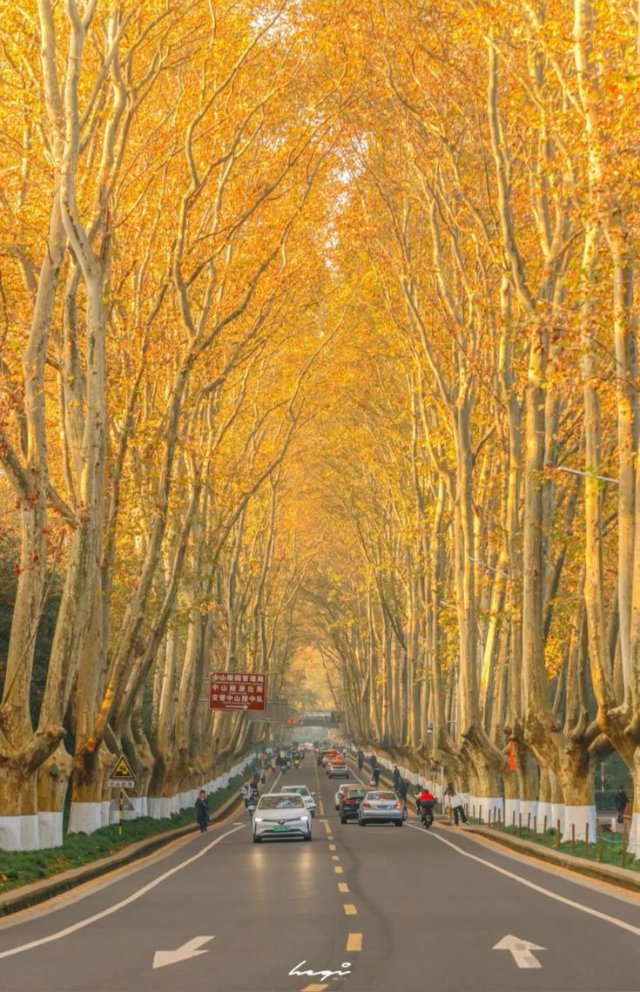 Hình ảnh những con đường đẹp nhất 2026