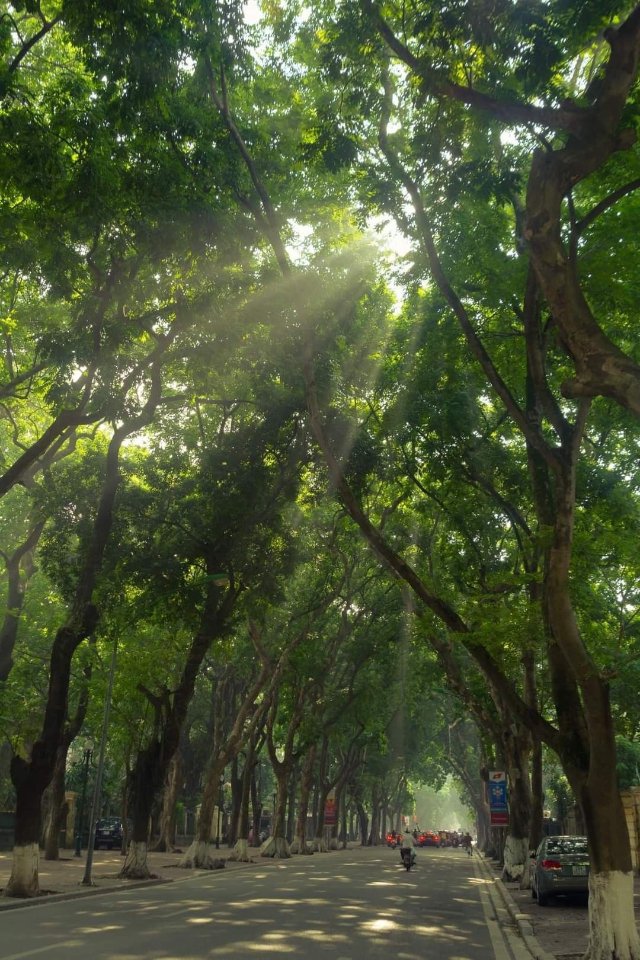 Hình ảnh những con đường đẹp nhất Hà Nội