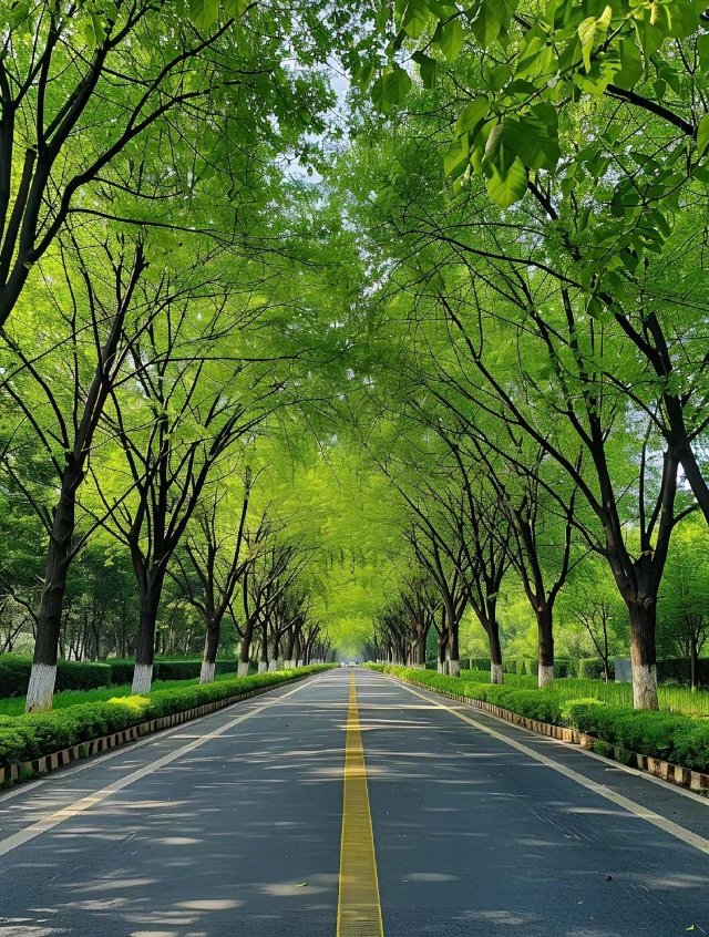 Hình ảnh những con đường đẹp trong thiên nhiên