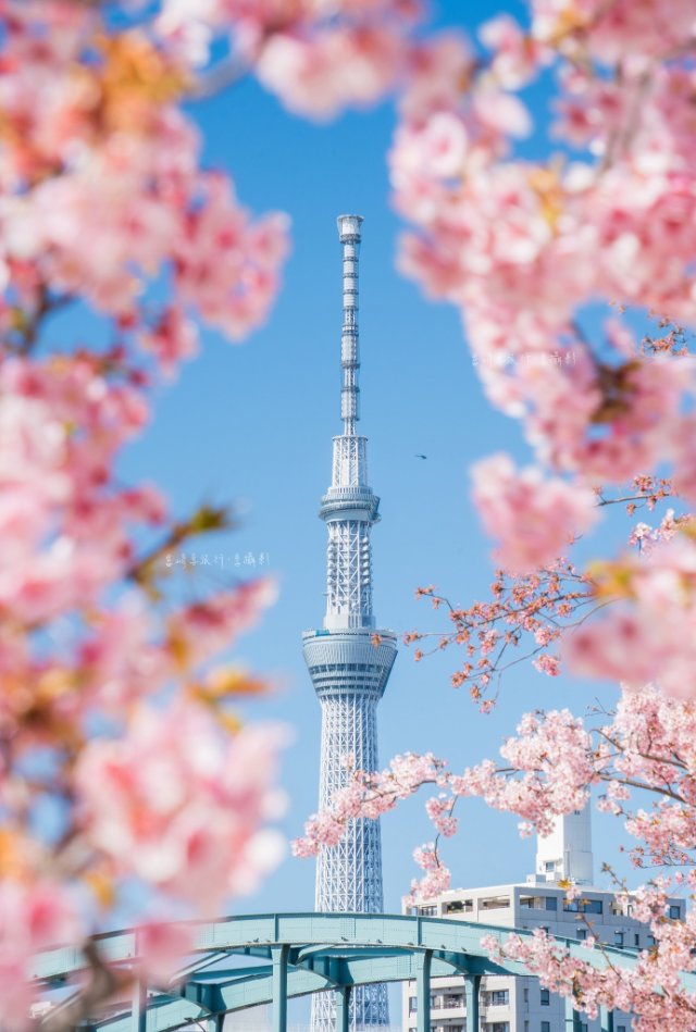 Hình ảnh phong cảnh Nhật Bản, Hàn Quốc tuyệt đẹp