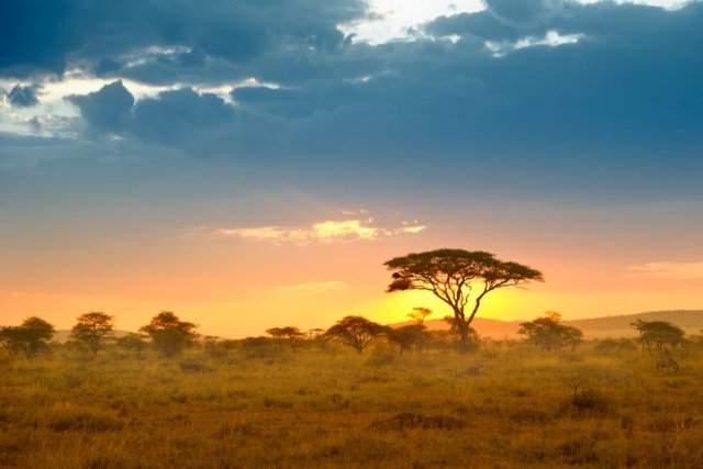 Hình ảnh thiên nhiên Châu Phi