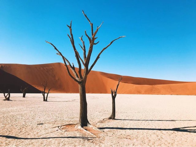 Hình ảnh thiên nhiên Nam Phi mới