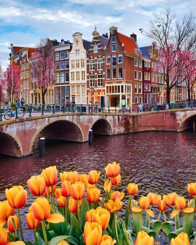 Hình ảnh thiên nhiên đẹp nhất tại Hà Lan 2026