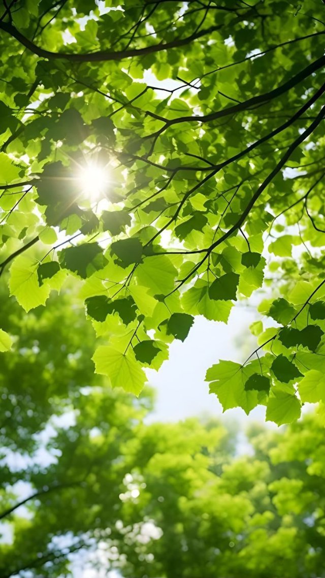 Hình ảnh thiên nhiên màu xanh lá