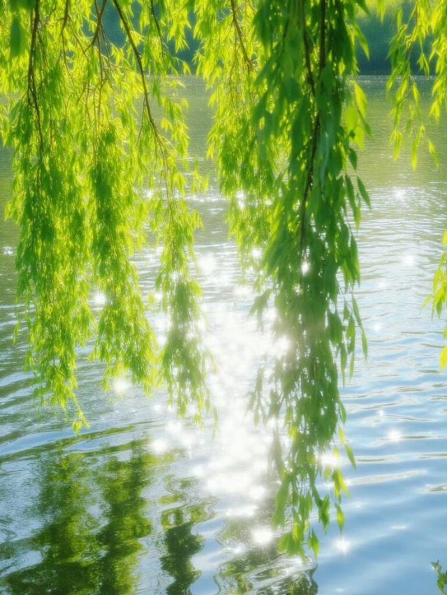 Hình ảnh thiên nhiên màu xanh lấp lánh