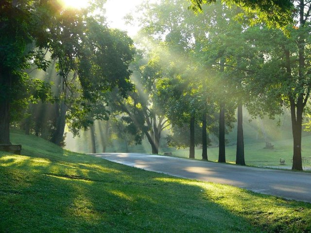 Hình ảnh thiên nhiên màu xanh