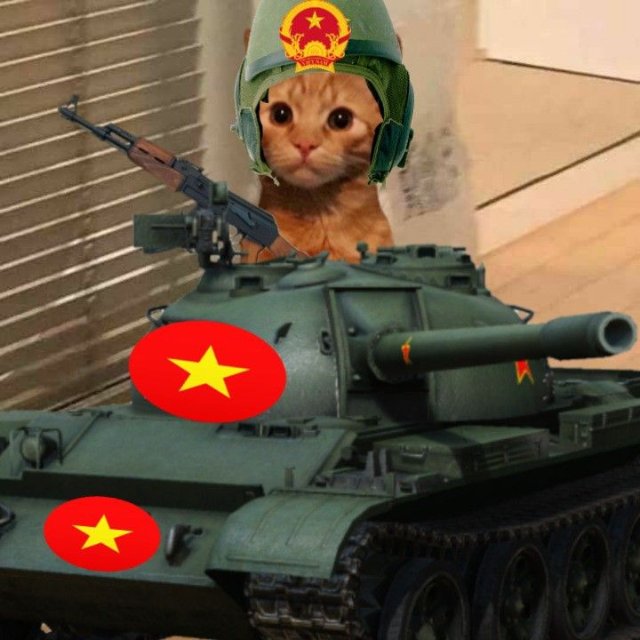 Hình meme mèo cầm súng hài hước