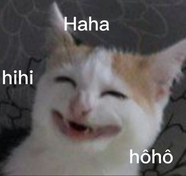 Hình meme mèo cười đểu lầy