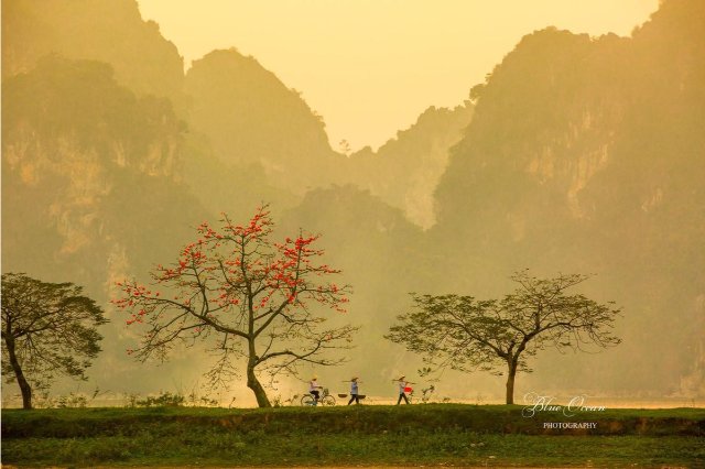 Hình nền máy tính thiên nhiên làng quê