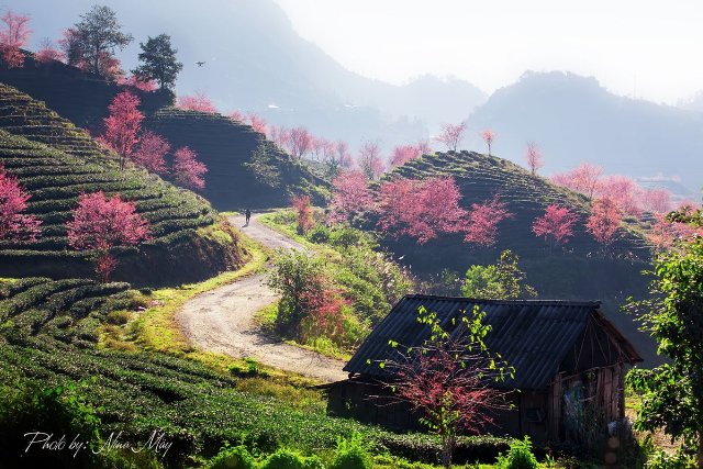 Hình nền thiên nhiên phong cảnh núi rừng hùng vĩ mới nhất