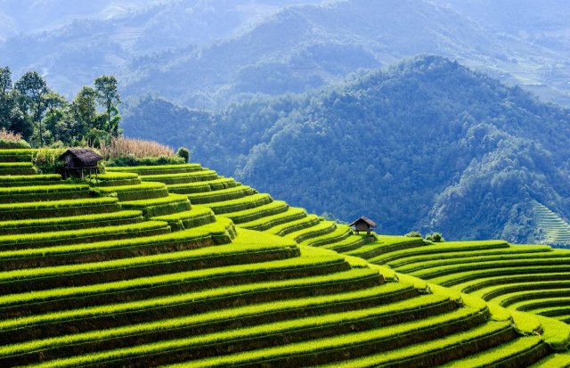 Hình nền thiên nhiên phong cảnh núi rừng hùng vĩ