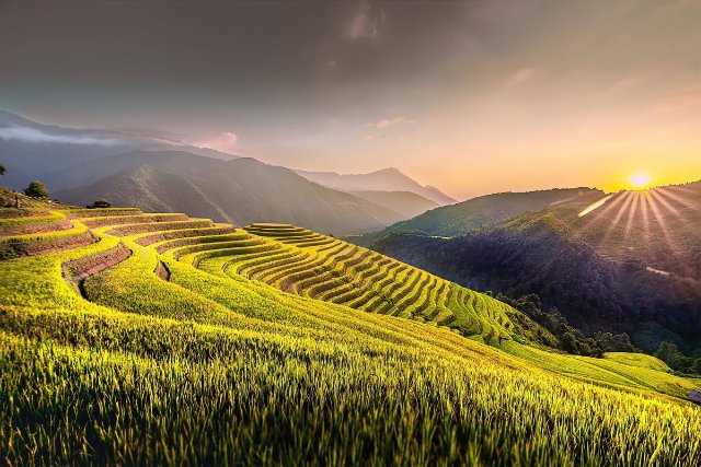 Hình thiên nhiên phong cảnh núi rừng hùng vĩ làm nền