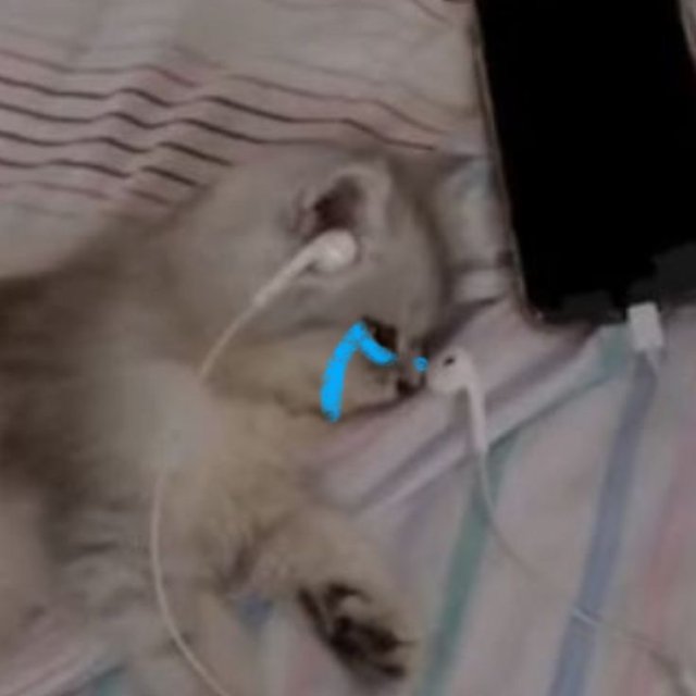 Meme con mèo khóc cute nghe nhạc