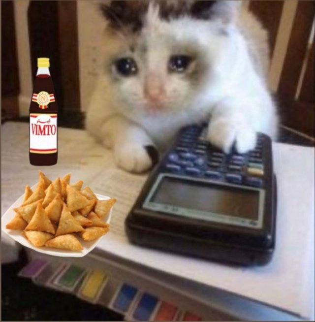 Meme con mèo khóc slay nhất 2026