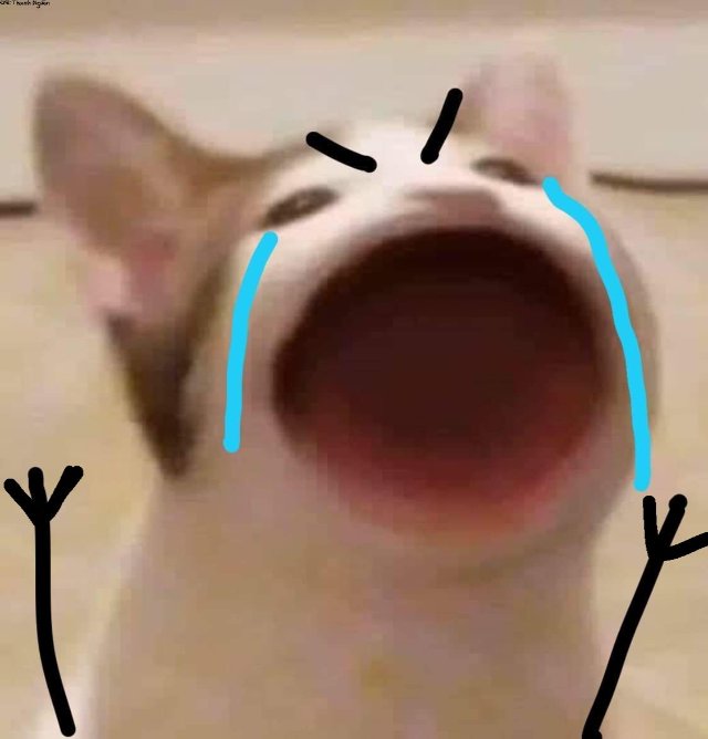 Meme con mèo khóc thét dễ thương