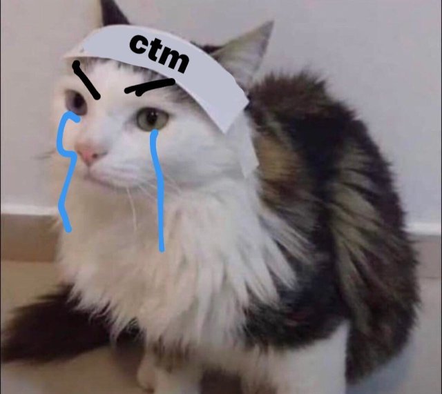 Meme con mèo vừa khóc vừa cười giận dữ