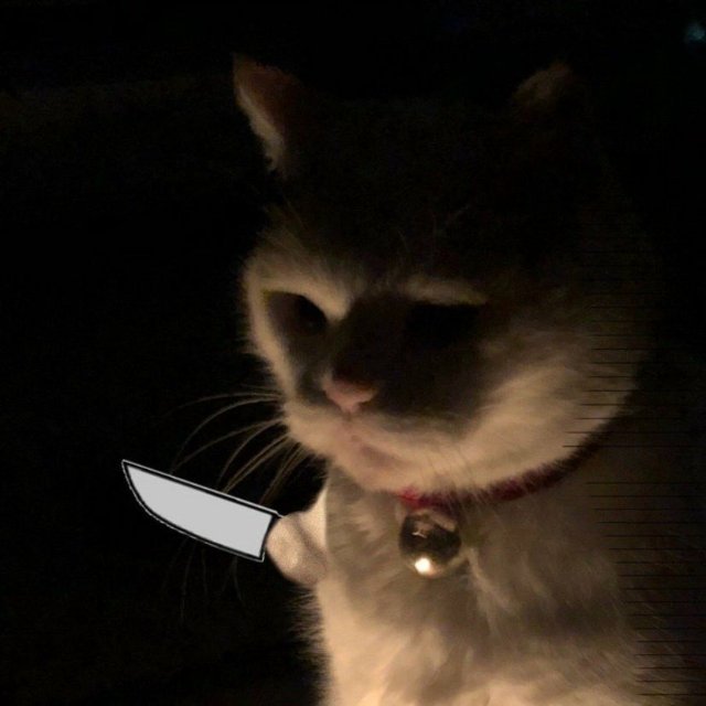 Meme mèo cầm dao trong đêm