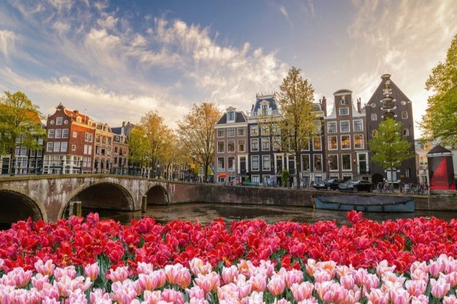 Những hình ảnh thiên nhiên đẹp nhất từ đất nước Hà Lan