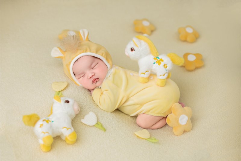 Sự đa dạng trong phong cách và concept chụp ảnh sơ sinh tại phường Cửa Nam