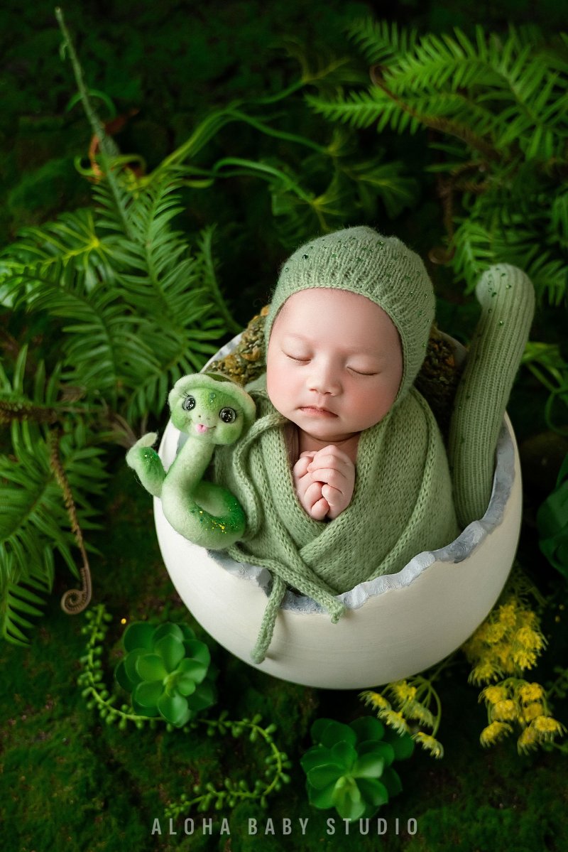 Aloha Baby Studio - Địa chỉ chụp ảnh sơ sinh tại phường Bạch Mai