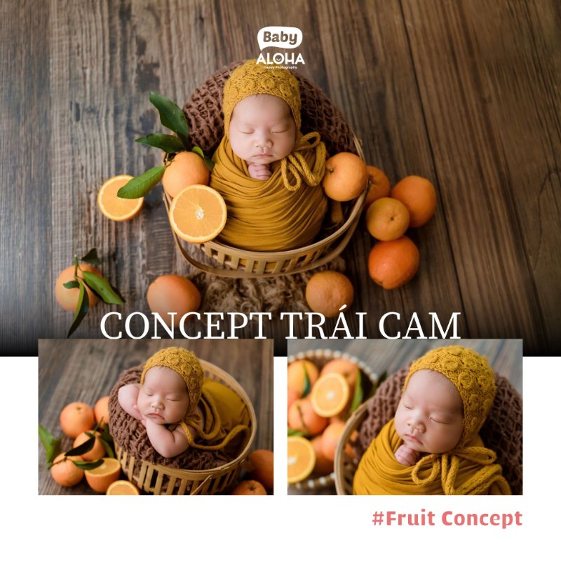 Các concept chụp ảnh sơ sinh tại phường Văn Miếu Quốc Tử Giám được yêu thích 2026