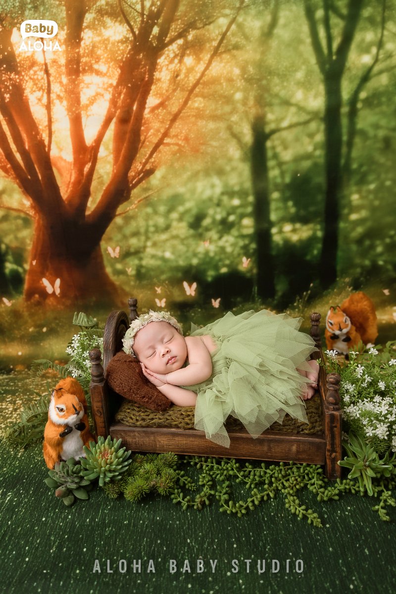 Concept Tinker Bell cổ tích