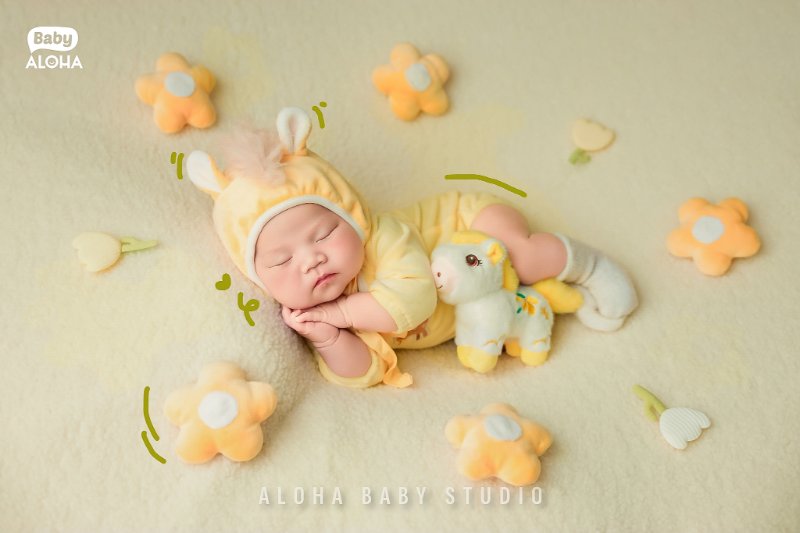 Concept newborn Bính Ngọ Little Sunshine