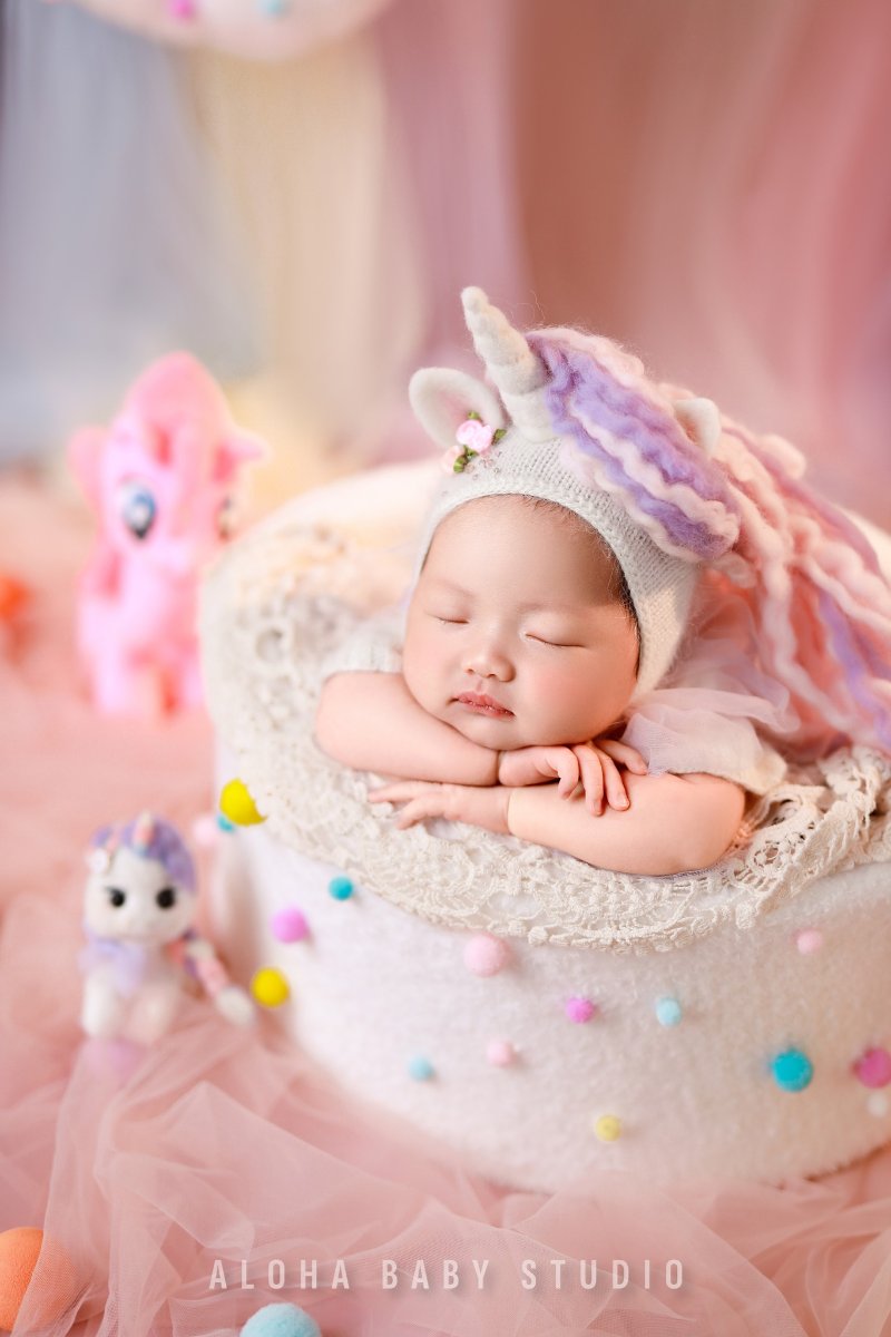 Chụp hình cho bé sơ sinh ở phường Vĩnh Tuy Hà Nội năm Bính Ngọ