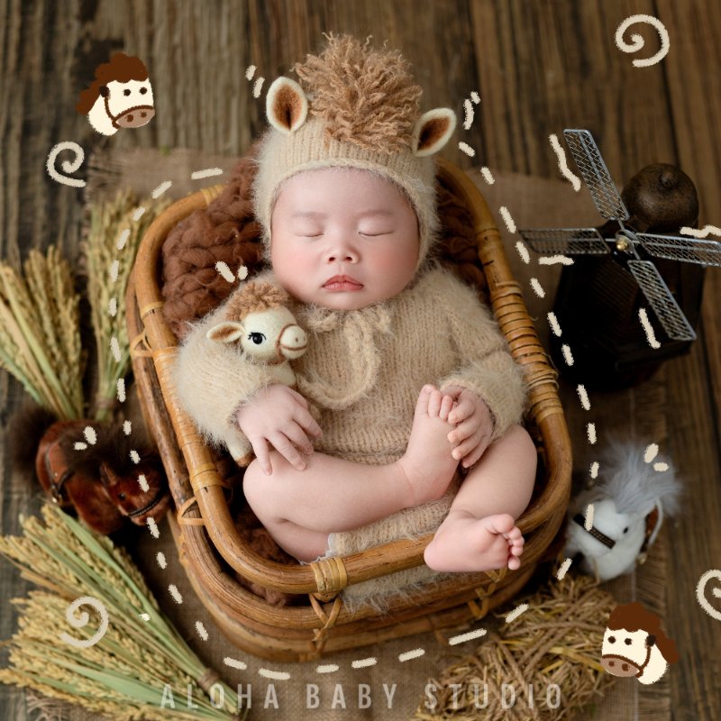 Concept newborn Bính Ngọ cho bé trai