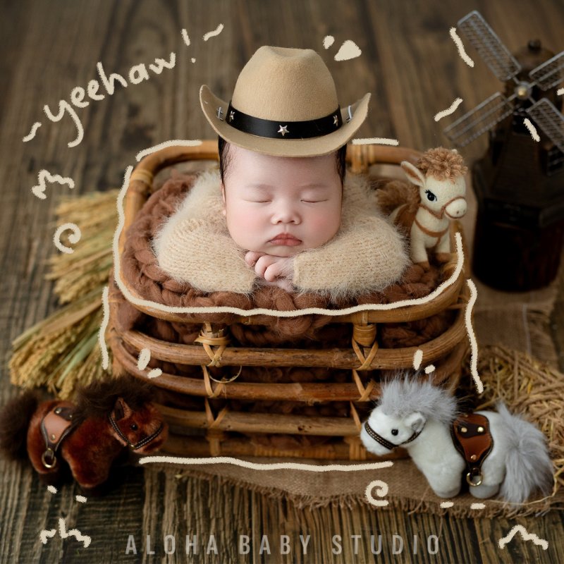 Concept newborn Bính Ngọ mới nhất