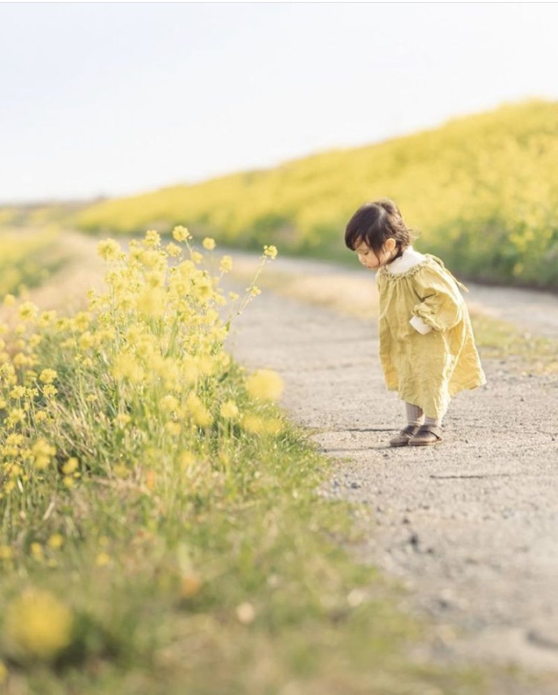Concept vintage giữa thiên nhiên