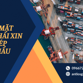 Giấy phép xuất nhập khẩu