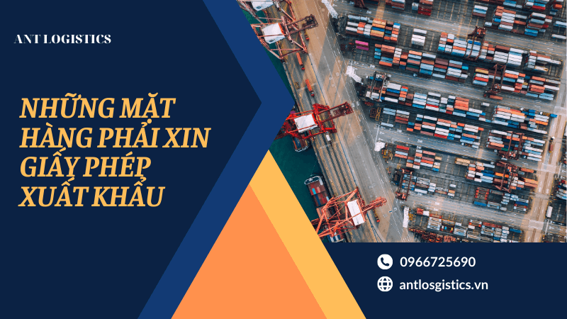 Giấy phép xuất nhập khẩu