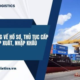 Quy định chung về hồ sơ, thủ tục cấp giấy phép xuất, nhập khẩu