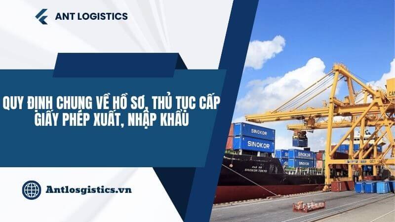 Quy định chung về hồ sơ, thủ tục cấp giấy phép xuất, nhập khẩu